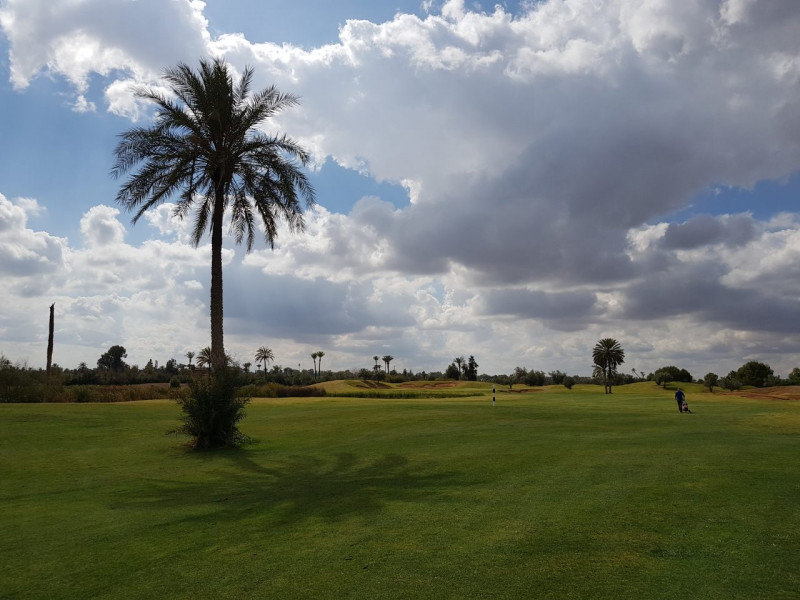 Stages de Golf