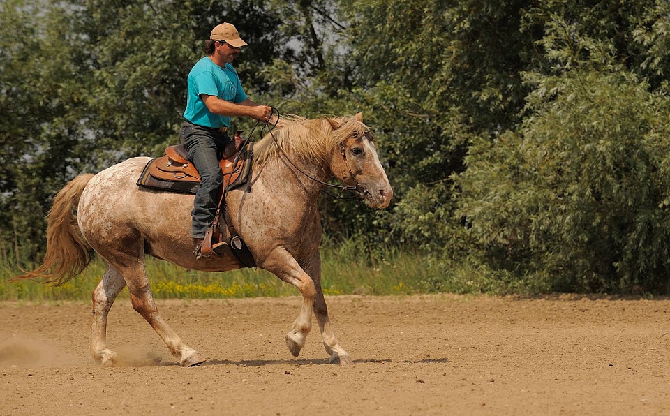 Sport et Loisirs